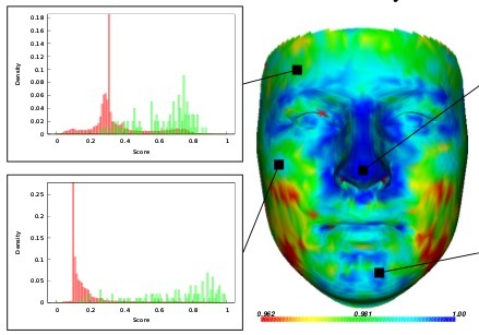 3D Landmark Model Discovery from a Registered Set of Organic Shapes