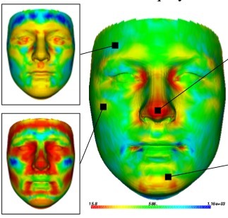 3D Landmark Model Discovery from a Registered Set of Organic Shapes