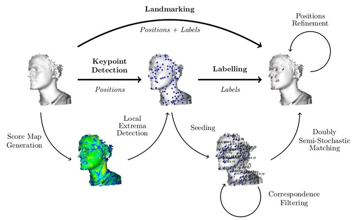 Detailed Landmarking Workflow